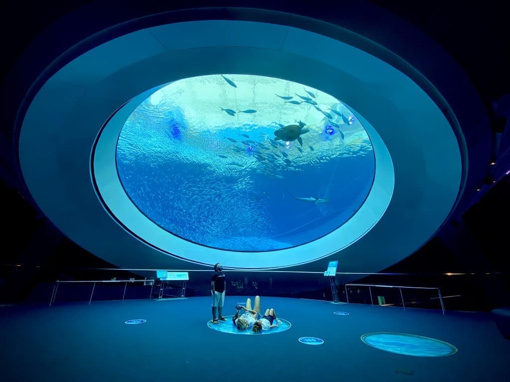 Frost Science Museum